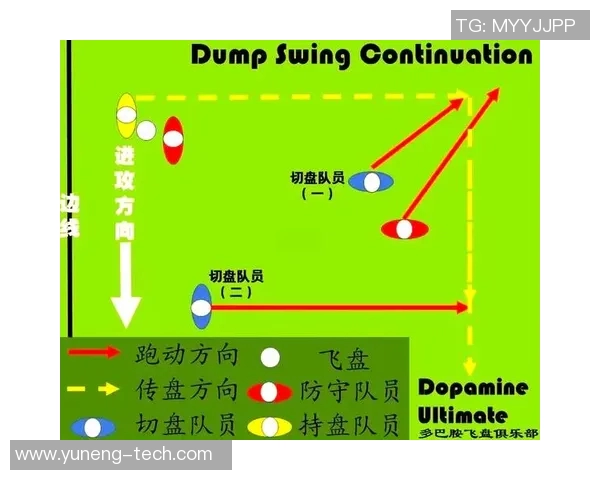 北京飞盘队阵地战分析：战术得失与未来发展方向探讨