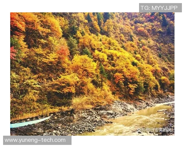 浔阳区姚明珠的美丽风景与人文魅力探秘之旅 浔阳区姚明珠的美丽风景与人文魅力探秘之旅